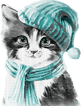 soave cat animals winter deco black white teal - δωρεάν png