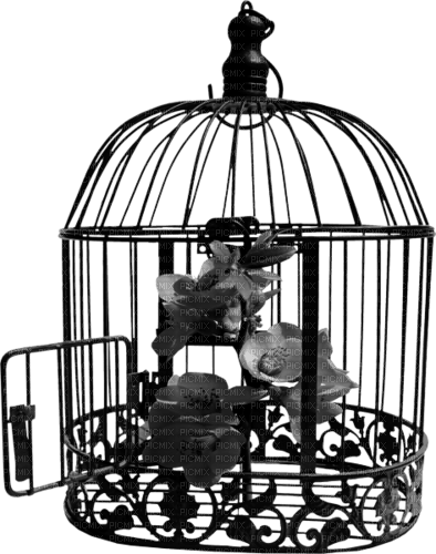 black cage, sunshine3 - kostenlos png