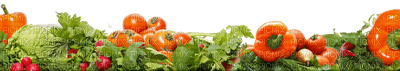 vegetables bp - kostenlos png