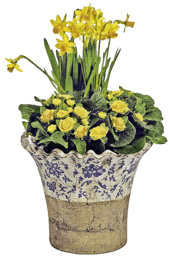 Bloemen pot - nemokama png