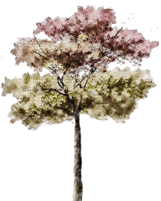 Kaz_Creations Trees Tree - kostenlos png