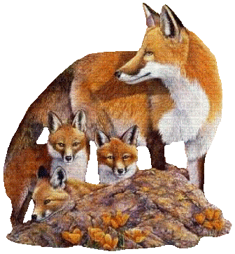 cecily-famille renards - Δωρεάν κινούμενο GIF