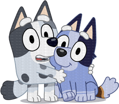 Socks and Muffin Heeler - PNG gratuit