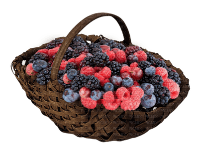 fruit basket bp - фрее пнг