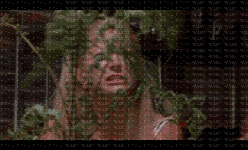 Kate Hudson - GIF animado grátis