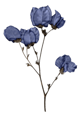 fleur bleu.Cheyenne63 - nemokama png