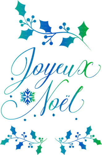loly33 texte joyeux  noël - Free PNG