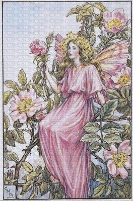 Pink Fairy Women and Flowers - PNG gratuit