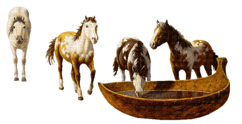 Chevaux - δωρεάν png