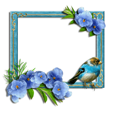 frame-blå-blomma-fågel - zdarma png