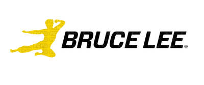 Bruce lee - zadarmo png