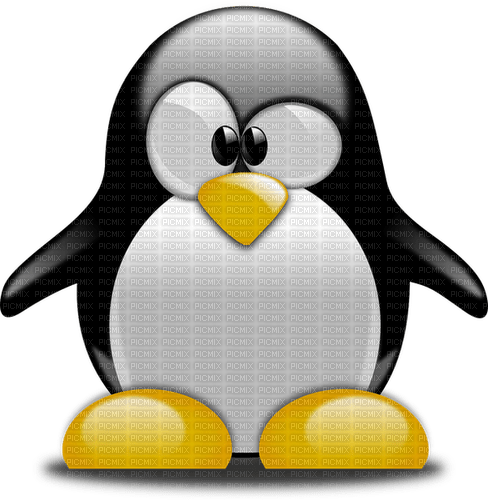 Pinguin - PNG gratuit