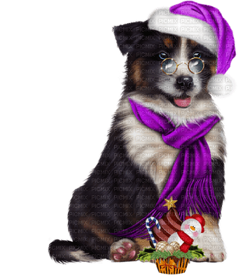 Kaz_Creations Christmas Dog Pup Dogs Colours - zdarma png