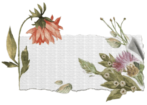 Flower tag label - Free PNG
