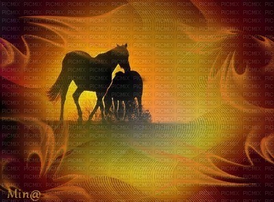 minou-horses-background-fond chevaux-sfondo cavalli-hästar-bakgrund - Free PNG
