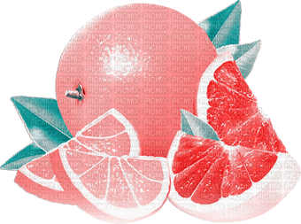 soave deco summer fruit pink teal - фрее пнг