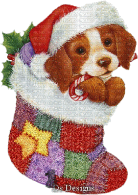 Blinking Puppy in Christmas Stocking - Ilmainen animoitu GIF