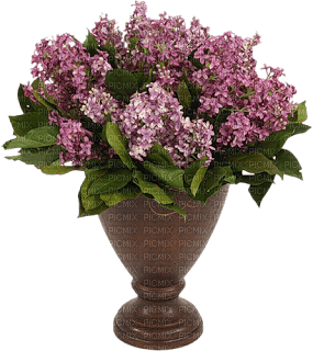 Bloemen en Planten - nemokama png
