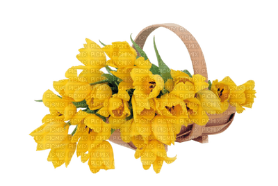 patymirabelle fleurs rose jaune - Free PNG