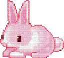 pink rabbit - Ingyenes animált GIF