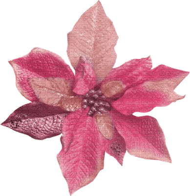 feuille d automne.Cheyenne63 - 免费PNG