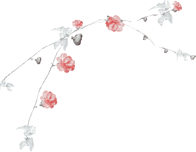 soave deco branch animated flowers rose pink TEAL - GIF animé gratuit
