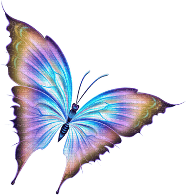 papillon multicolore.Cheyenne63 - PNG gratuit