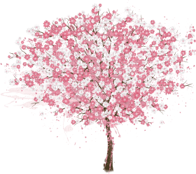 Cherry Blossom Tree - δωρεάν png