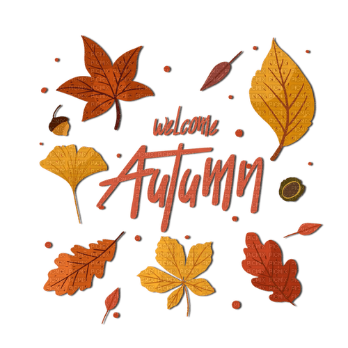 Welcome Autumn - бесплатно png