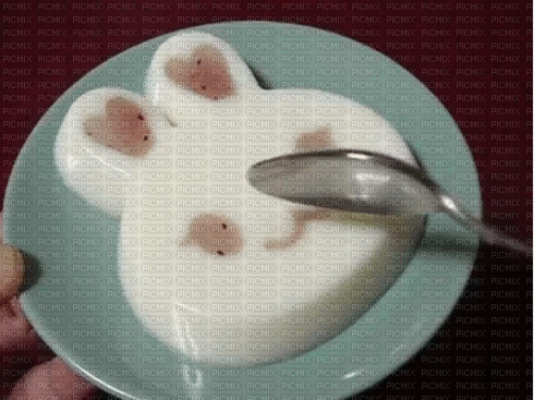 Pudding - Δωρεάν κινούμενο GIF
