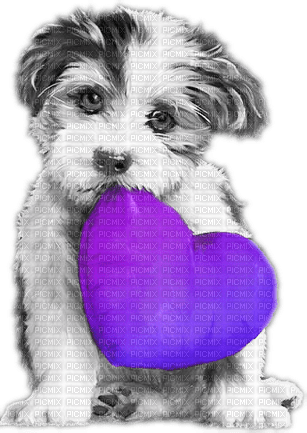soave valentine deco animals dog heart - kostenlos png