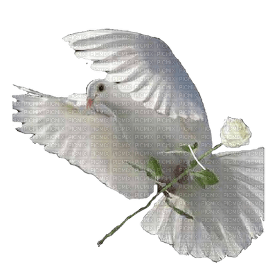 Holy Spirit - PNG gratuit