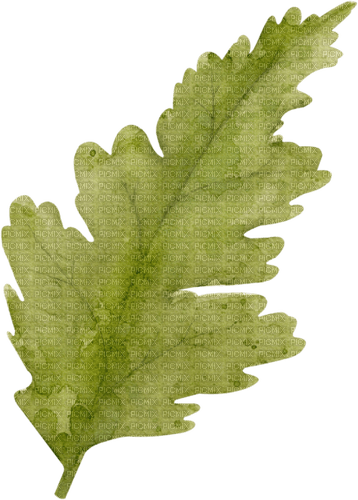 dolceluna green leaf deco - PNG gratuit