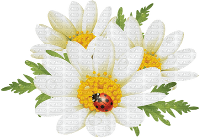 Kaz_Creations Deco Flowers Ladybug - png gratuito