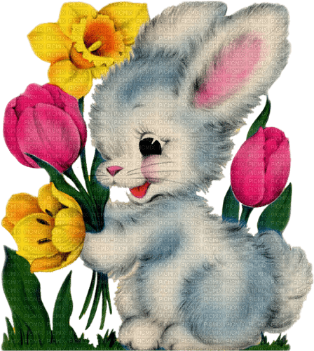 Y.A.M._Easter Spring little animals - Free PNG