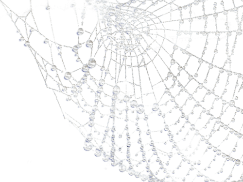 spiderweb  deco halloween - PNG gratuit