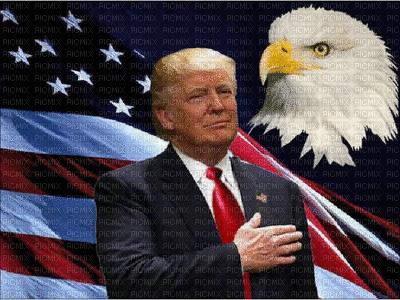 Trump Flag Eagle 777 - GIF เคลื่อนไหวฟรี
