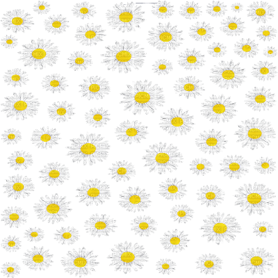 flower overlay - zadarmo png