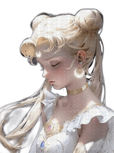 Princess serenity ❤️ elizamio - безплатен png