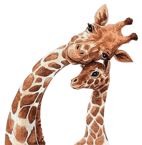 Giraffe.Jirafa.girafe.Victoriabea - nemokama png