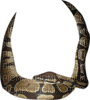 Serpent - Free PNG