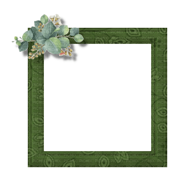 Small Green Frame - бесплатно png