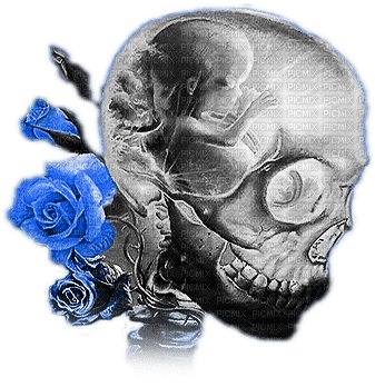 soave deco gothic skull flowers rose black - gratis png
