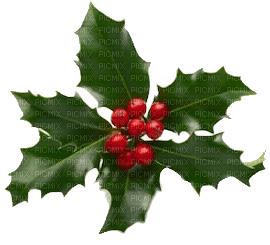 ✶ Christmas Ornament {by Merishy} ✶ - png gratis