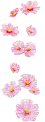 Цветя - Besplatni animirani GIF