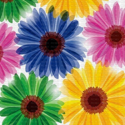 Kaz_Creations Deco Flowers   Backgrounds Background Colours - png gratis