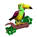 Oldweb toucan animated - GIF animé gratuit