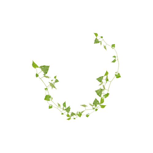 kikkapink deco scrap ivy plant - 免费PNG