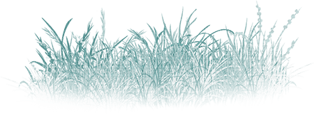 soave deco spring grass border floor teal - 免费PNG
