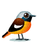 Bird Hopping - Бесплатный анимированный гифка